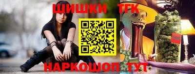 индика Аргун