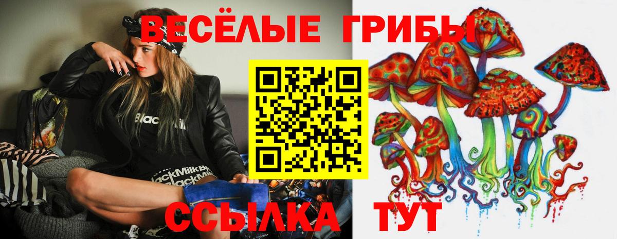 Галлюциногенные грибы ЛСД Зима