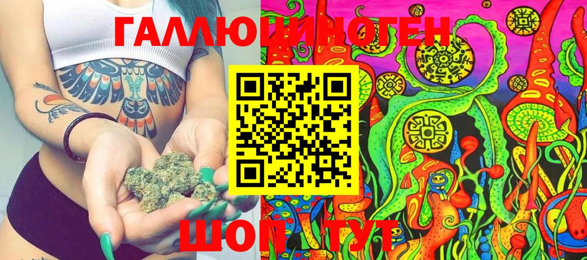 Псилоцибиновые грибы Psilocybe  Вход с VPN  Зима  Галлюциногенные грибы MAGIC MUSHROOMS 