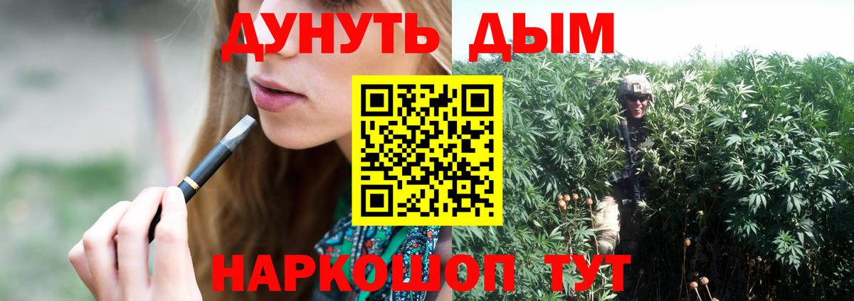 Каннабис OG Kush  Бошки марихуана SATIVA & INDICA  Зима  Вход с VPN 